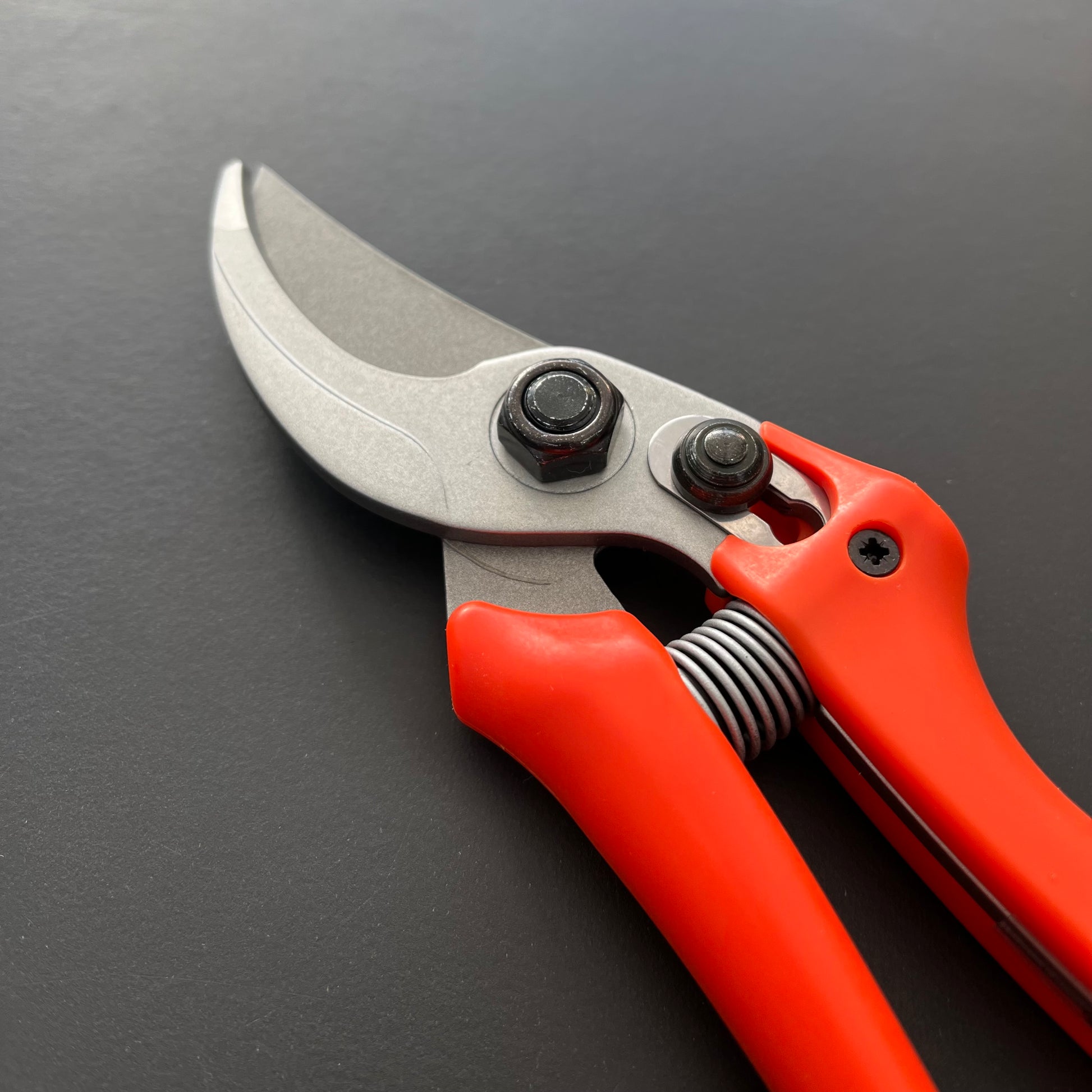 Nahaufnahme der Löwe Original Löwe 14 – Economic Clean Cut Gartenschere mit scharfen silbernen Klingen und leuchtend roten Griffen auf einer dunklen Oberfläche – ein unverzichtbares Werkzeug für präzise Gartenarbeit.