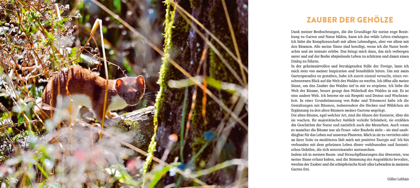 Ein Wiesel steht wachsam auf einem bemoosten Baumstamm in einem sonnenbeschienenen Wald. Rechts ist ein deutscher Text über ökologische Vielfalt und Lebensraum für Tiere im Wald aus "Meine lebendige Hecke" vom Verlag Eugen Ulmer abgebildet.