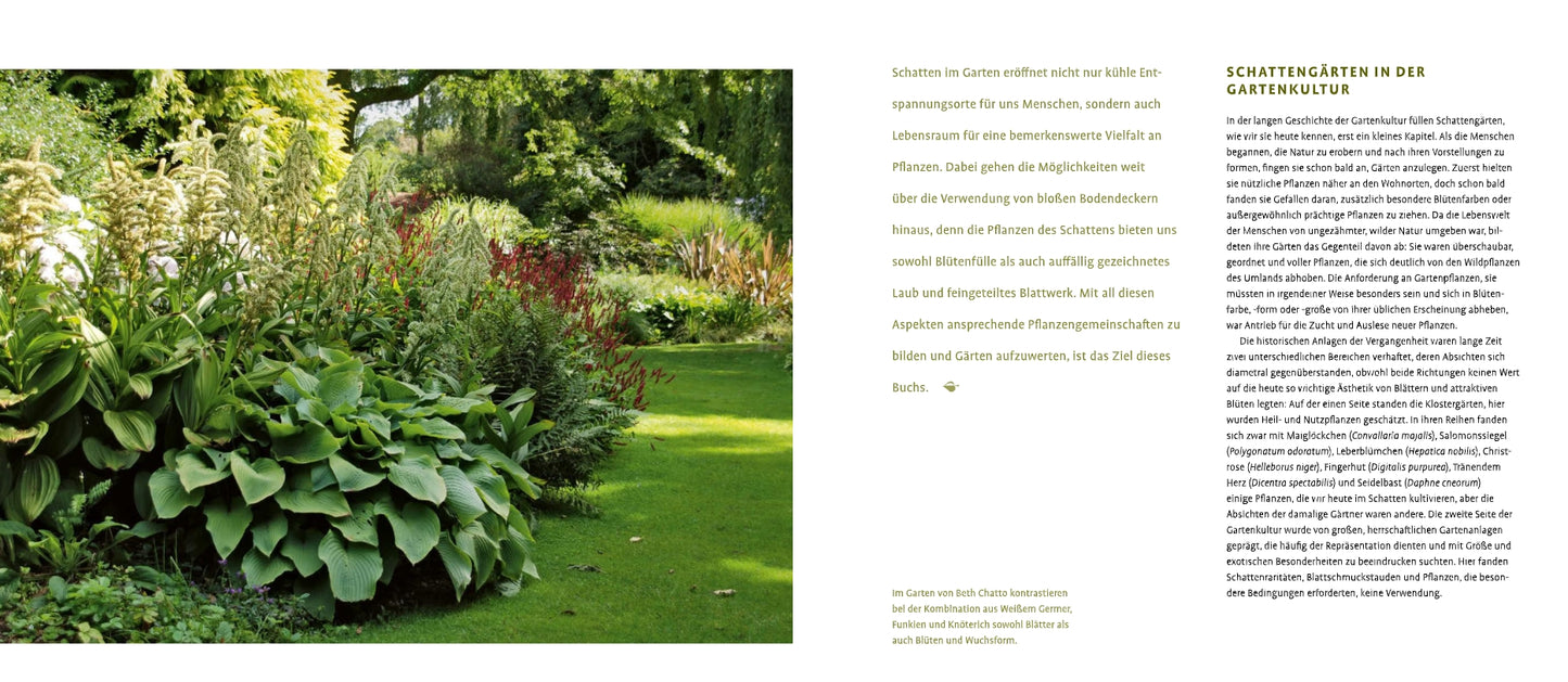 Ein üppiger Schattengarten mit Schattenstauden des Verlags Eugen Ulmer grenzt an einen gepflegten Rasen; hohe blühende Pflanzen stehen im Hintergrund und dichte Bäume spenden reichlich Schatten. Der deutsche Text zur Gartengestaltung erscheint auf der rechten Seite.