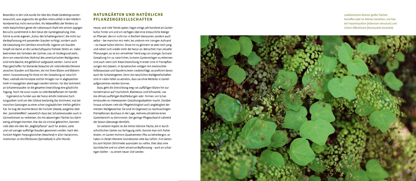 Rechts eine Nahaufnahme von Schattenstauden und üppigem Grün auf Waldboden, links drei deutsche Textkolumnen aus dem Verlag Eugen Ulmer über naturalistische Gartengestaltung und Pflanzengesellschaften.