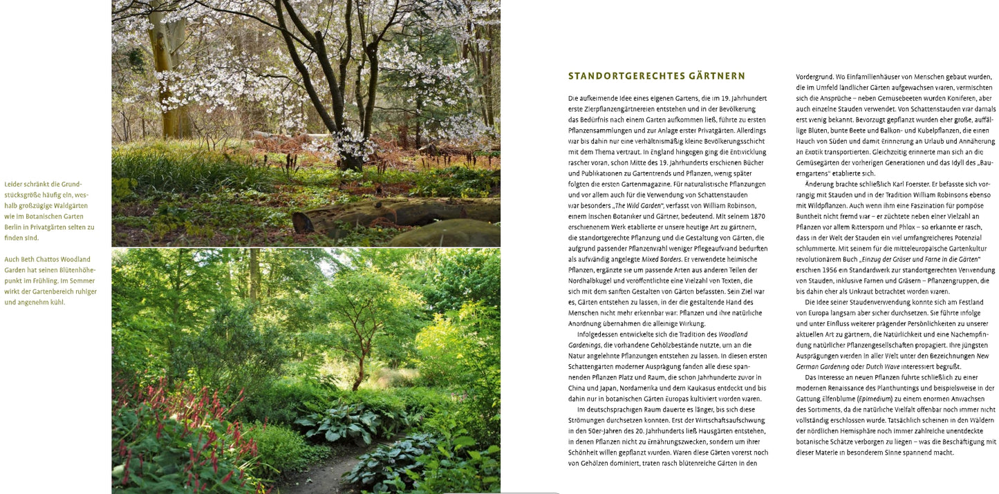 Zwei Fotos von üppigen grünen Gärten: das obere Bild zeigt weiße Blüten, das untere einen schattigen Weg mit Schattenstauden. Auf der rechten Seite ist ein deutscher Text abgedruckt. Produkt: Schattenstauden von Verlag Eugen Ulmer.