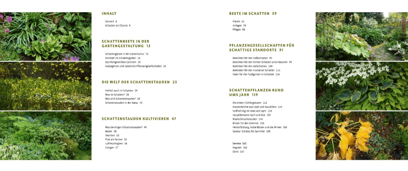Eine Doppelseite aus dem Buch "Schattenstauden" des Verlags Eugen Ulmer zeigt ein deutsches Inhaltsverzeichnis und leuchtende Fotos von schattenliebenden Stauden - eine ideale Inspiration für die Gartengestaltung.