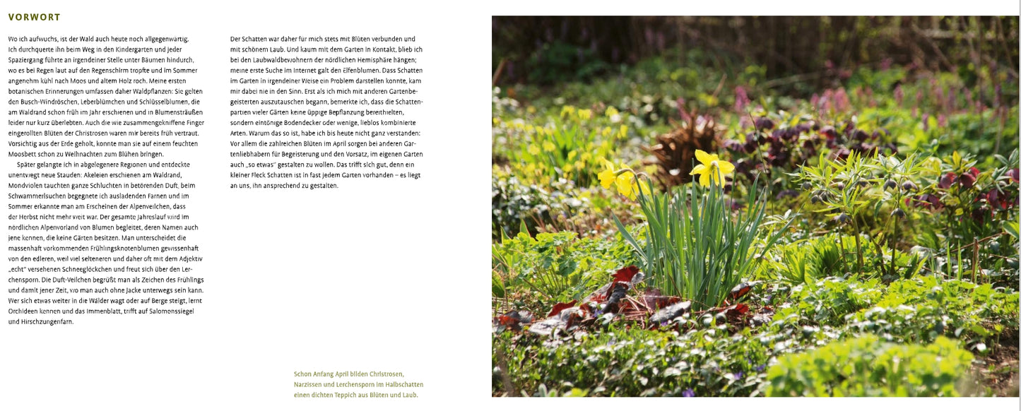 Ein sonnenbeschienener Garten mit grünem Laub und gelben Narzissen, umgeben von Schattenstauden; deutscher Text vom Verlag Eugen Ulmer erscheint auf der linken Seite des Bildes.