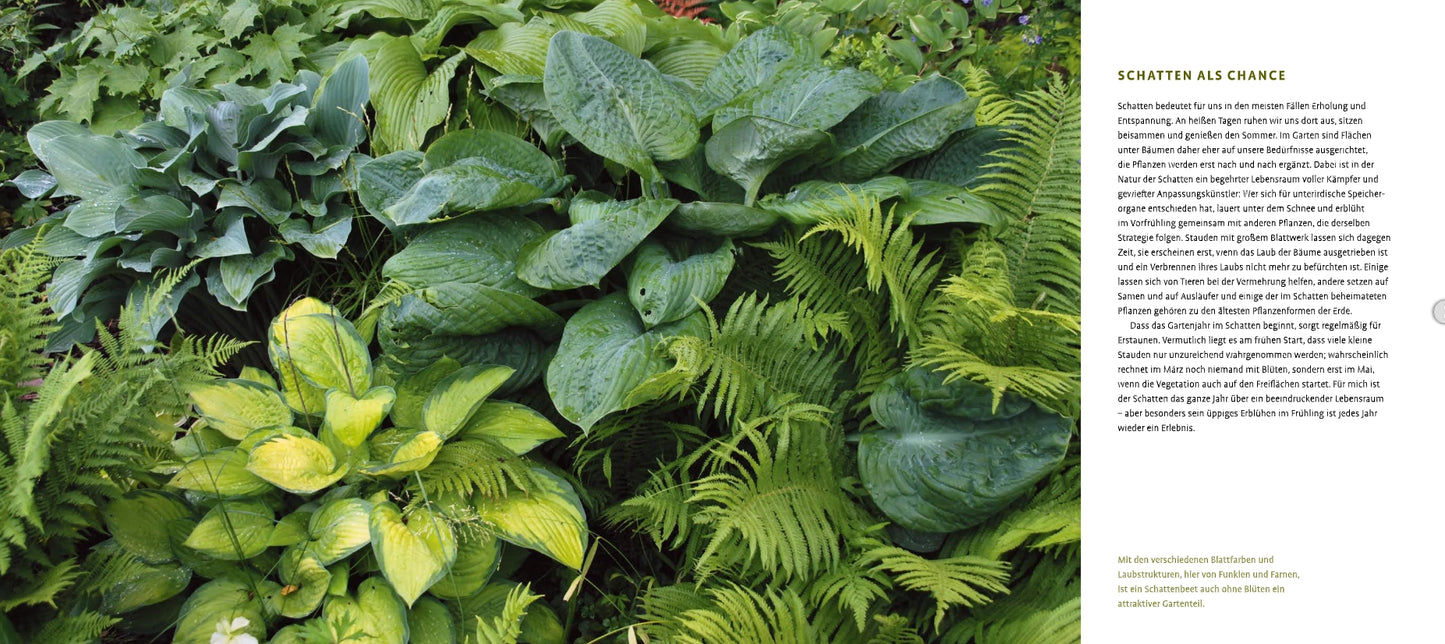 Ein üppiger Schattengarten mit dichten Grünpflanzen wie Hostas, Farnen und anderen Schattenstauden. Rechts hebt der deutsche Text des Verlags Eugen Ulmer auf weißem Hintergrund die Vorteile des Schattens bei der Gartengestaltung hervor.