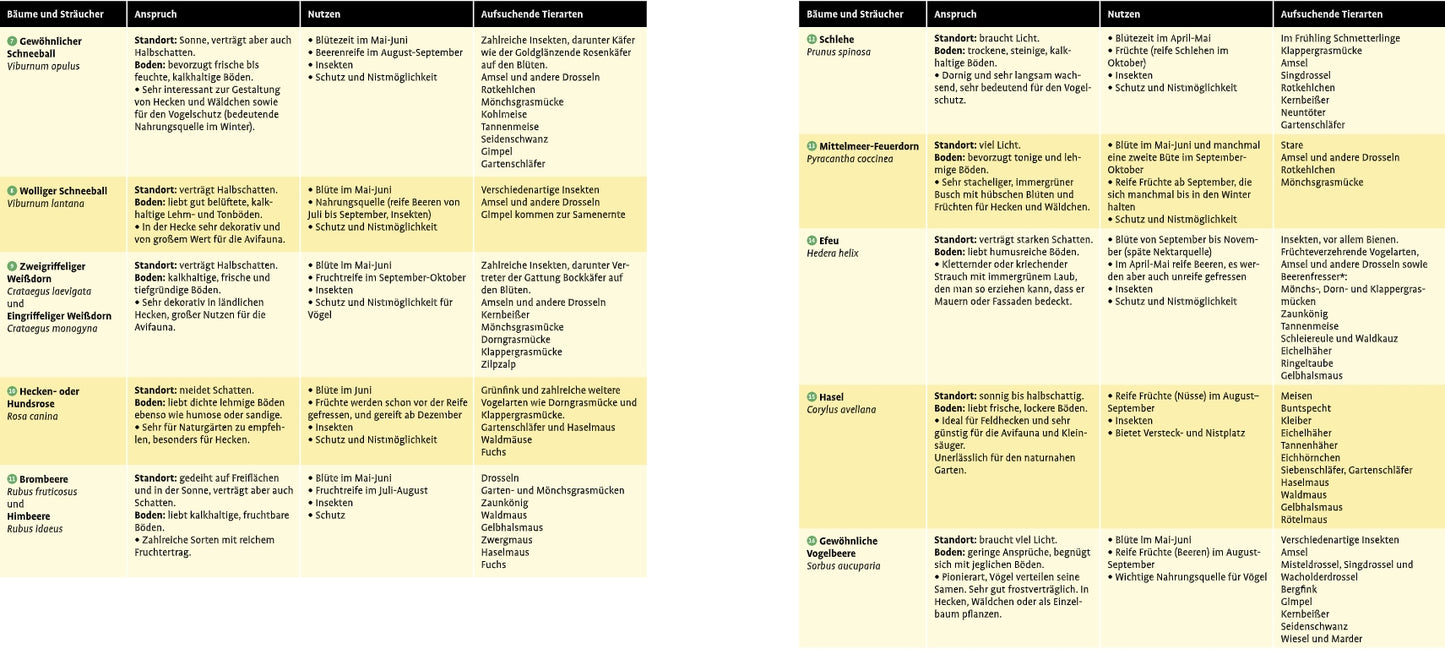 Die Tabelle aus "Meine lebendige Hecke" von Verlag Eugen Ulmer zeigt auf Deutsch Vor- und Nachteile verschiedener Süßungsmittel und erklärt, wie Gartenhecken ökologische Vielfalt und Lebensräume für Tiere fördern.
