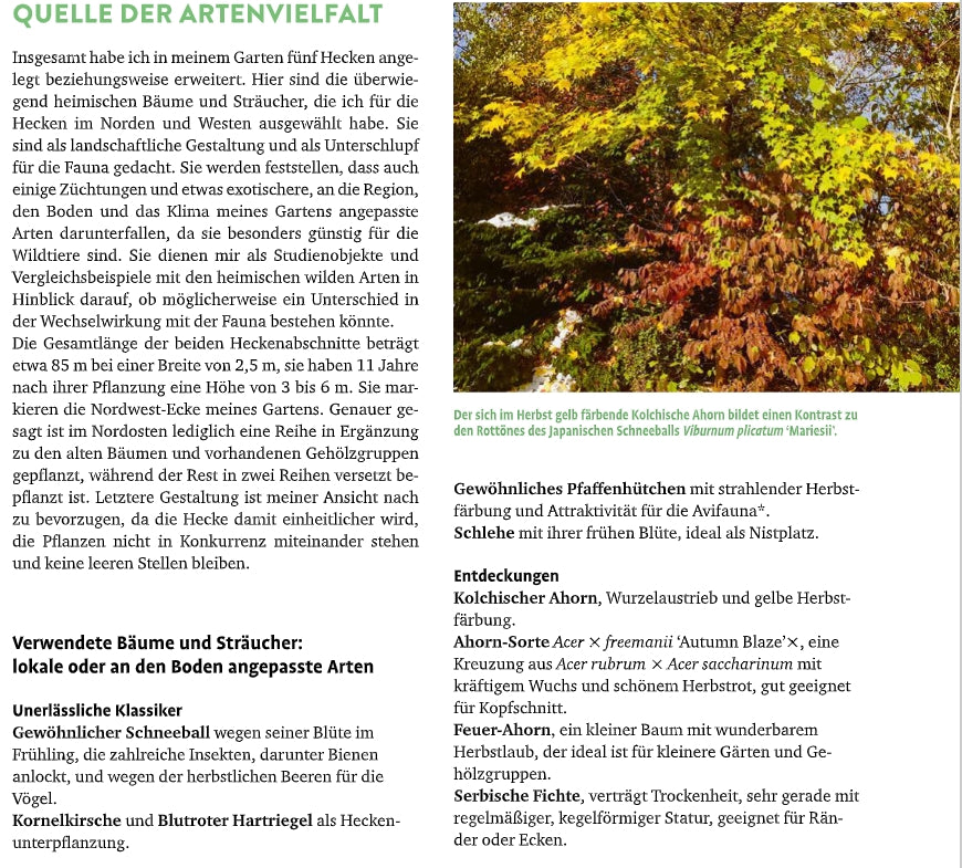 Der deutsche Zeitschriftenartikel "QUELLE DER ARTENVIELFALT" behandelt die ökologische Vielfalt mit Fotos von einer Wildblumenwiese und Schmetterlingen und zeigt "Meine lebendige Hecke | Schutz und Nahrung für viele Tiere" vom Verlag Eugen Ulmer.