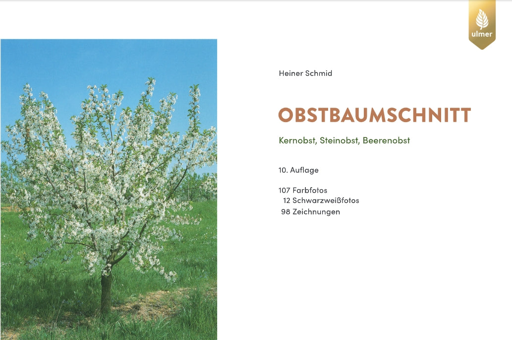 Ein blühender Obstbaum steht in einem grasbewachsenen Feld unter blauem Himmel. Auf der rechten Seite steht der Text: Verlag Eugen Ulmer, Obstbaumschnitt, mit Expertentipps und Fotodetails. In der rechten oberen Ecke ist ein goldenes Emblem abgebildet.