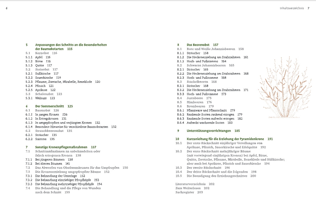 Das deutsche Inhaltsverzeichnis von "Obstbaumschnitt" (Verlag Eugen Ulmer) enthält Kapitel über Bäume, Schattenanpassung und Pflegetipps. Auf der rechten Seite ist ein hellbrauner, blattloser Baum abgebildet. Die Seitenzahlen stehen in den oberen Ecken.