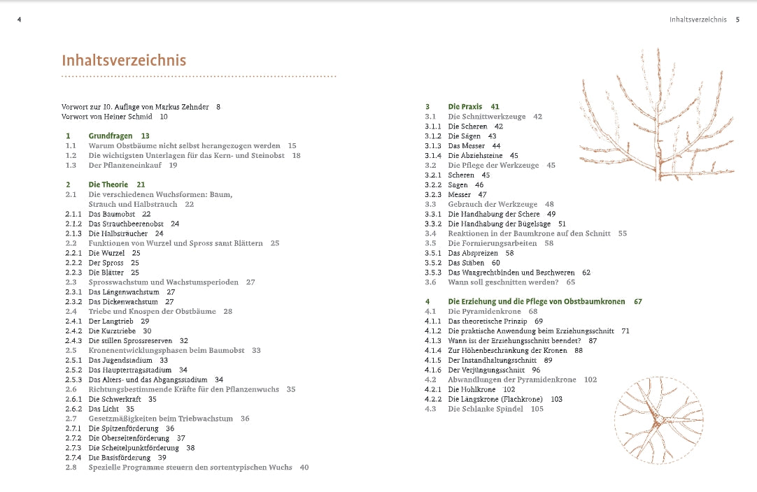 Inhaltsverzeichnis aus "Obstbaumschnitt" vom Verlag Eugen Ulmer, mit Theorie, Praxis, Pflanzung, Schnitt, Pflegetipps und mehr. Am rechten Rand und am Boden sind dekorative Zweigabbildungen angebracht.