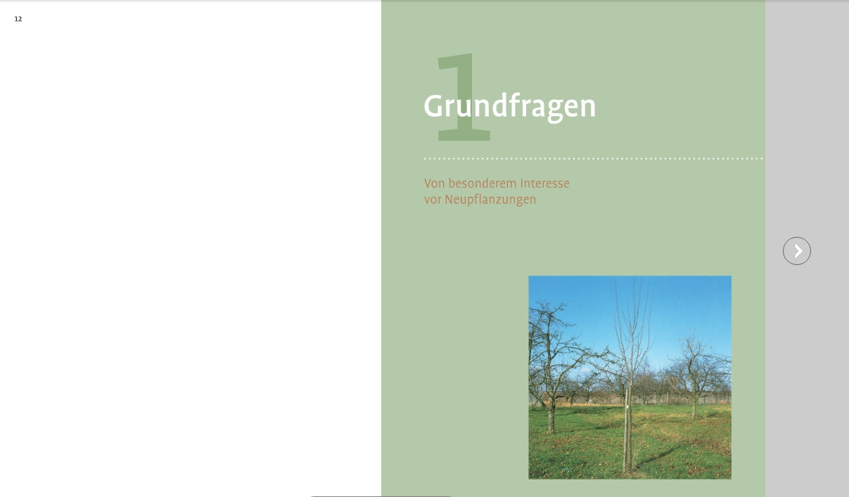 Eine Seite mit der Überschrift "1 Grundfragen" in großer Schrift trägt einen orangefarbenen Untertitel und zeigt ein Foto von jungen Bäumen in einem grasbewachsenen Obstgarten unter blauem Himmel. Die grün-weiße Gestaltung hebt Pflegehinweise und Fachwissen für den Obstbaumschnitt des Verlags Eugen Ulmer hervor.