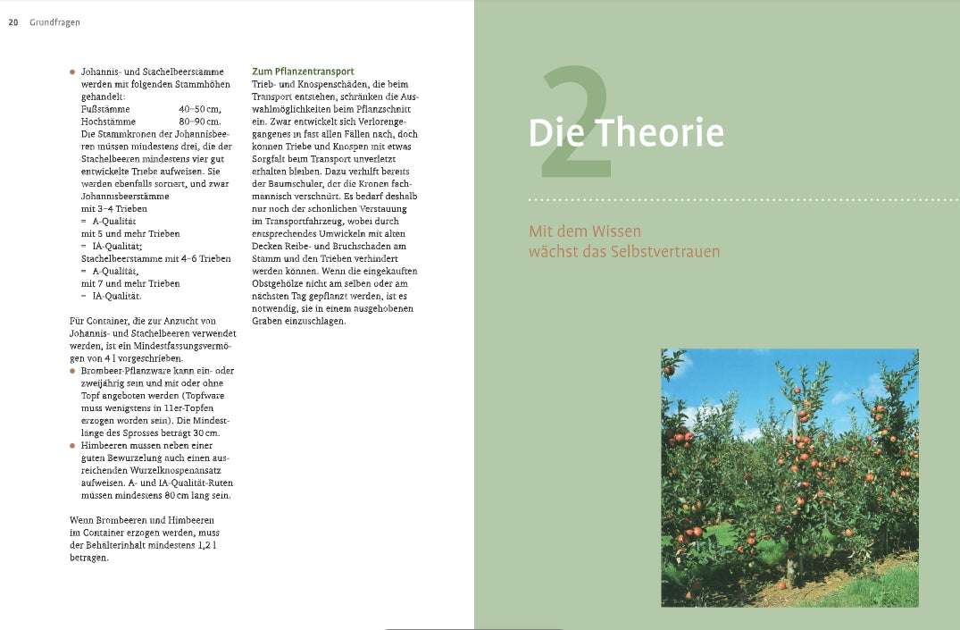 Eine Buchseite mit einem Text über Pflanzentheorie und Fachwissen auf der linken Seite und einer großen grünen Zahl 2 mit dem Titel "Obstbaumschnitt" auf der rechten Seite. Unter dem Titel ist ein Foto von verschiedenen grünen Sträuchern und Pflanzen im Freien zu sehen. Marke: Verlag Eugen Ulmer.