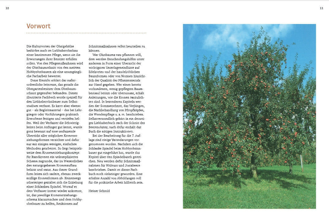 Eine Seite aus dem Obstbaumschnitt des Verlags Eugen Ulmer zeigt links deutsches Fachwissen und Pflegehinweise und rechts ein Foto von zwei Apfelbäumen mit reifen roten Äpfeln auf grünem Gras unter einem klaren Himmel.
