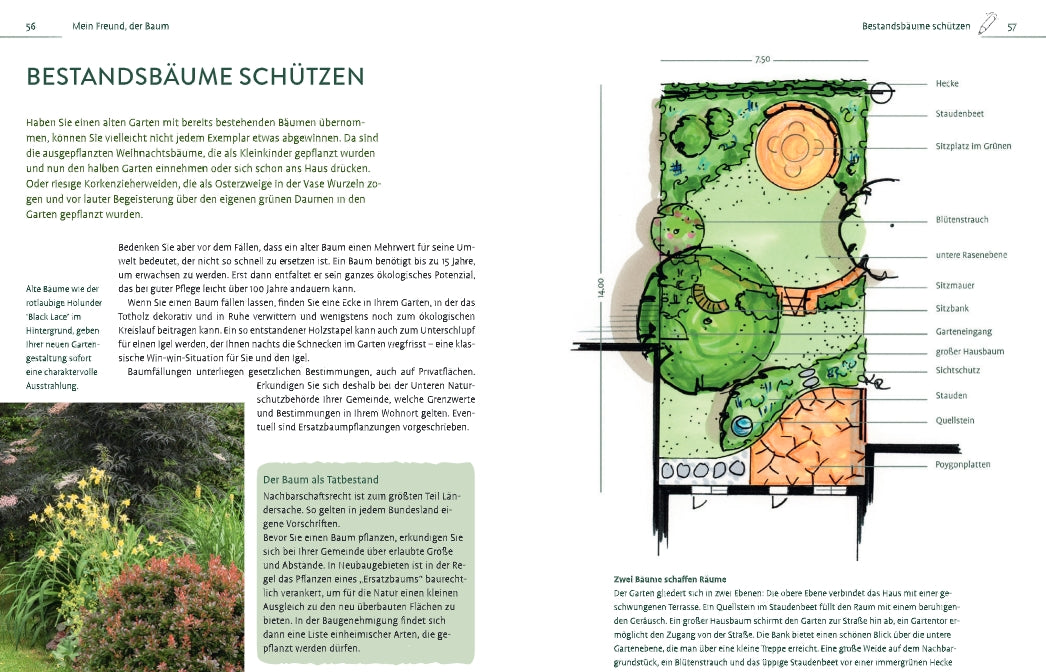 Eine Abbildung aus "Kleine Gärten gekonnt gestalten" vom Ulmer Verlag zeigt rechts beschriftete Gartenelemente und Bäume, unten links einen deutschen Text zum Baumschutz und ein Foto von üppiger Gartengestaltung.