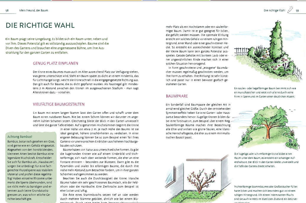 Eine Doppelseite aus "Kleine Gärten gekonnt gestalten" vom Ulmer Verlag mit deutschem Text zur Baumauswahl und Gartengestaltung sowie farbigen, handgezeichneten Illustrationen von Bäumen, Elementen und Pflanzorten für einen harmonischen Garten.