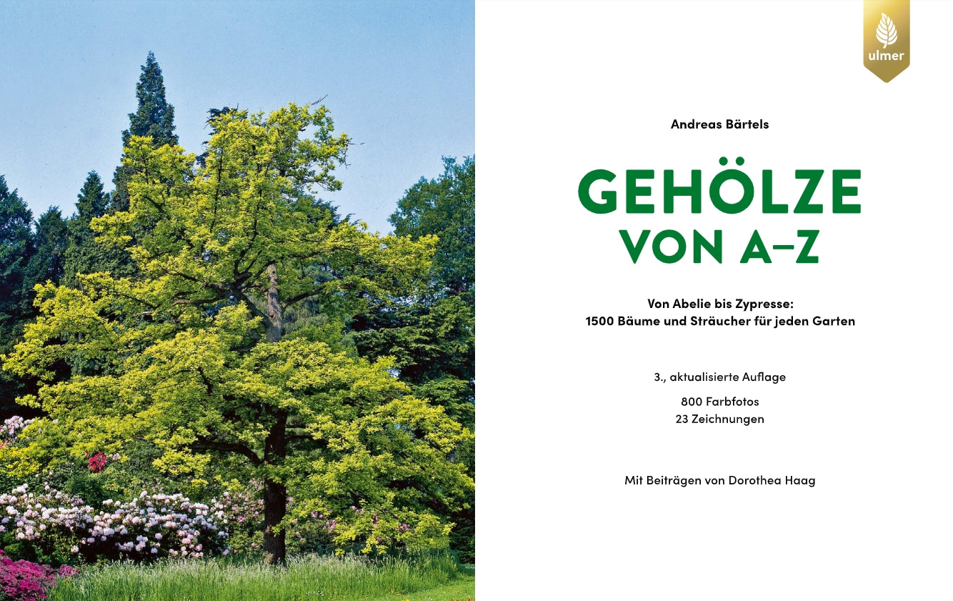 Der Buchdeckel zeigt einen großen grünen Baum, links blühende Sträucher, rechts den Text: Andreas Bärtels, Gehölze von A-Z-ein Nachschlagewerk für Bäume und Sträucher. Oben das goldene Logo des Ulmer Verlags.