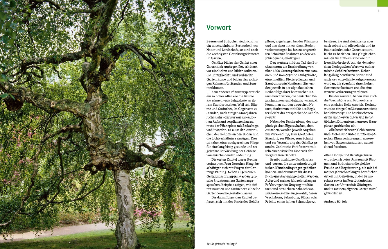 Ein majestätischer, alter Baum mit weit ausladenden Ästen steht inmitten von üppigem Gras und illustriert die Schönheit der Gehölze von A-Z des Ulmer Verlags. Auf der rechten Seite ist eine Seite mit dem Titel Vorwort in deutscher Sprache in Spalten gedruckt.