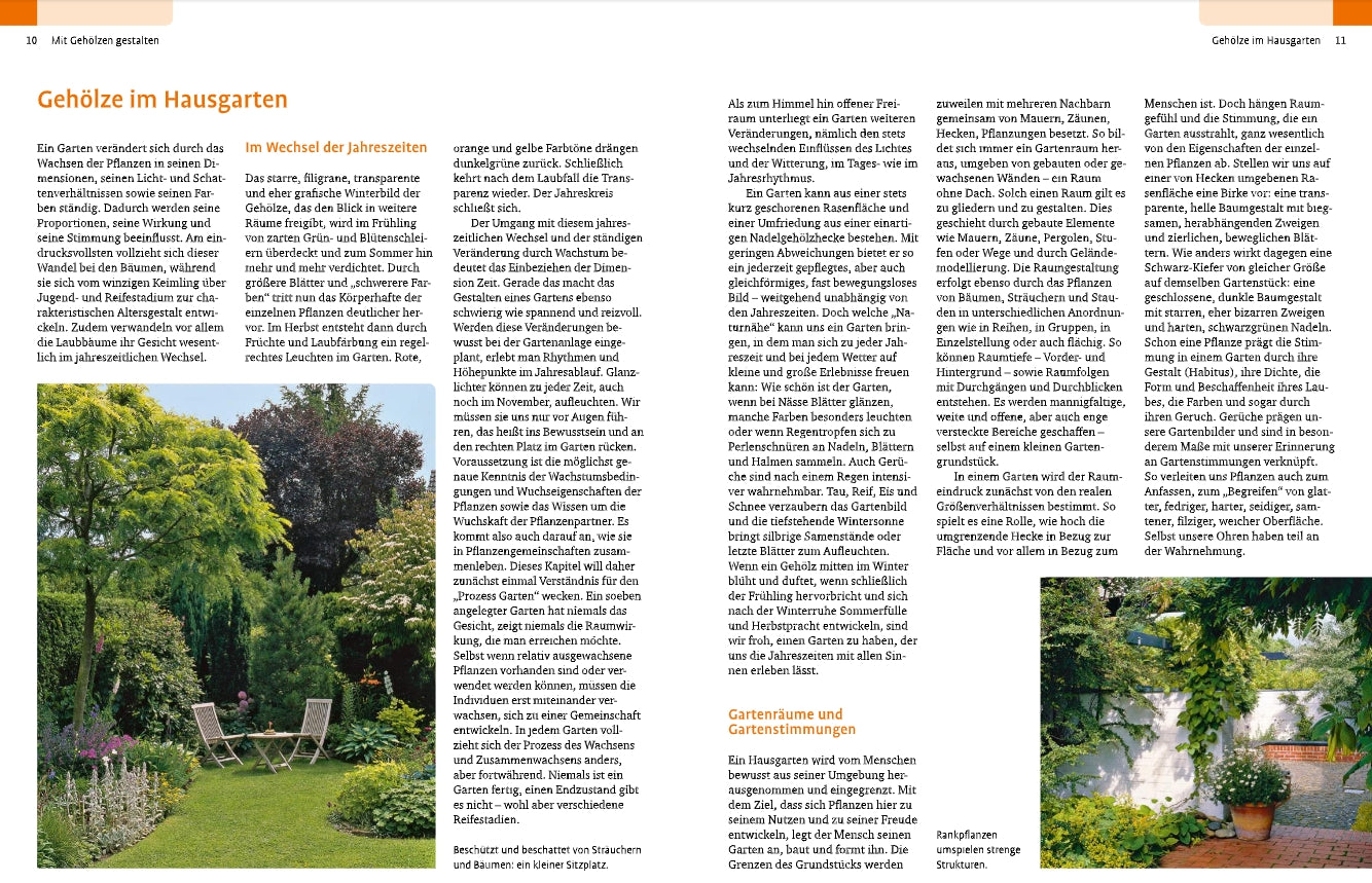 Ein grüner Garten mit Rasen, verschiedenen Bäumen und Sträuchern aus "Gehölze von A-Z" von Ulmer Verlag, gestaltet mit Patio-Tisch, zwei Stühlen und Kübelpflanzen. Hohe Gehölze erzeugen eine sonnige Wohlfühlatmosphäre.