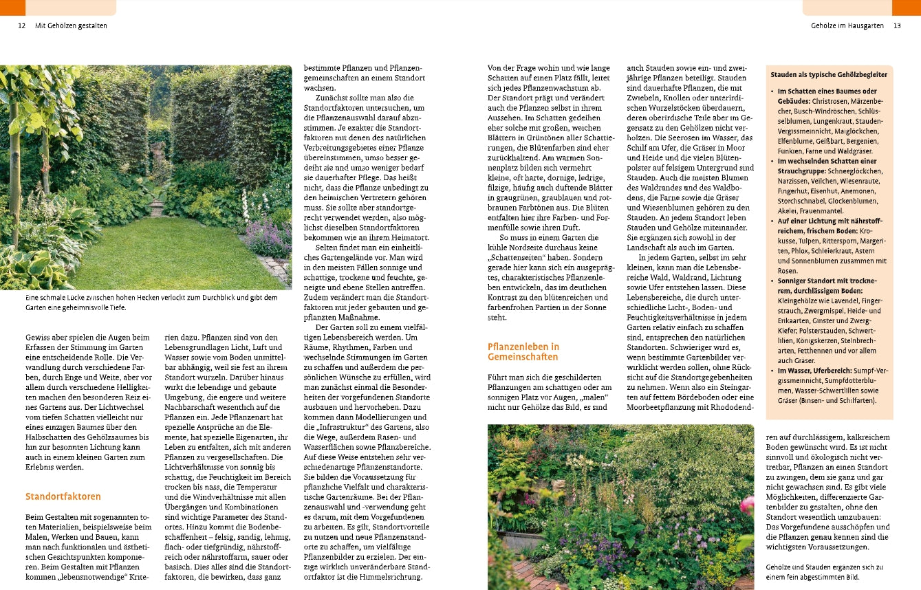 Eine Doppelseite aus der Zeitschrift "Gehölze von A-Z" des Ulmer Verlags enthält einen geordneten deutschen Text über Gartengestaltung sowie lebendige Fotos von üppigen Gärten mit verschiedenen Pflanzen, Blumen, Bäumen und Sträuchern. Das Layout ist bunt und einladend.