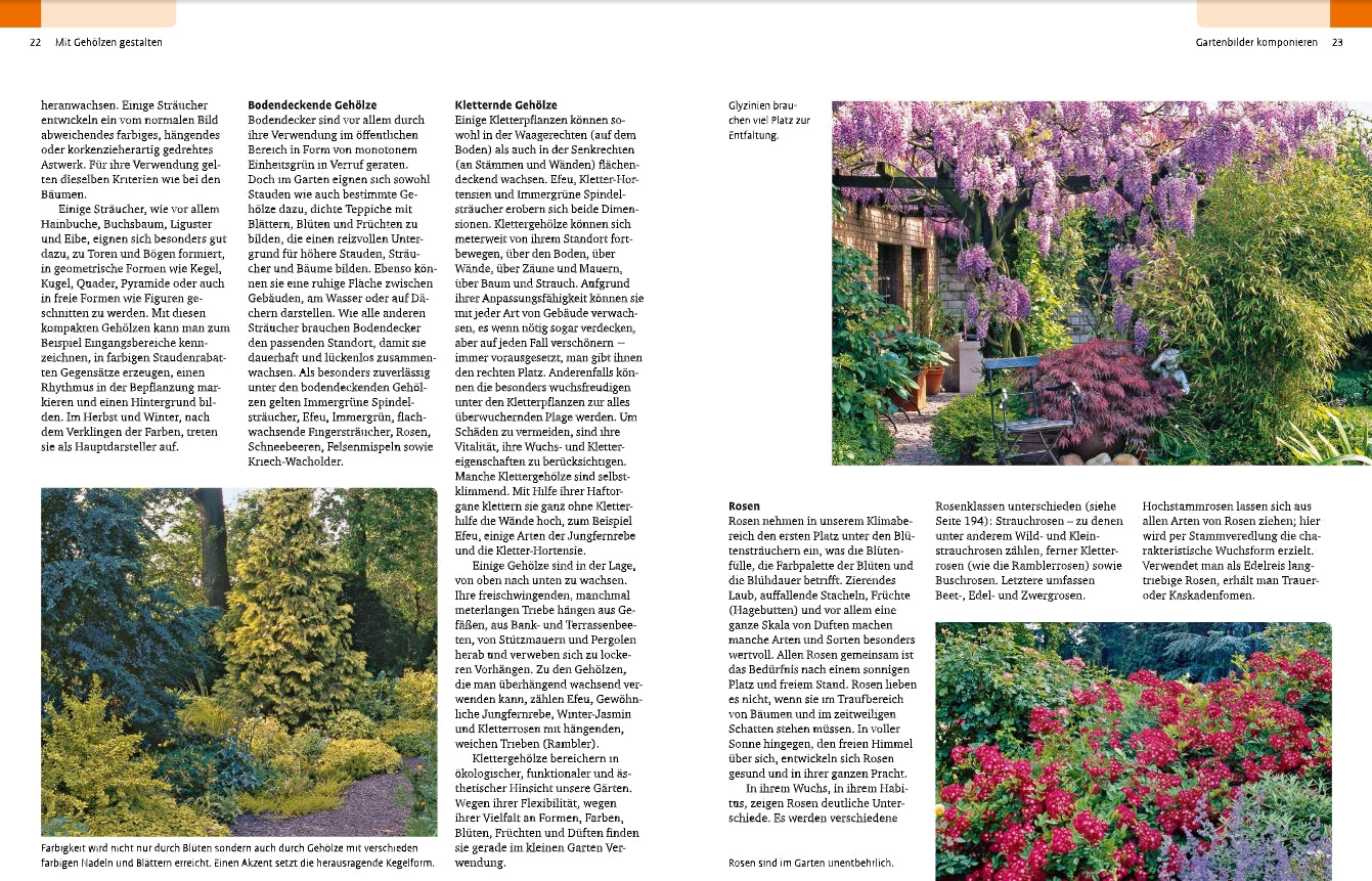 Auf einer Magazinseite sind Spalten mit deutschem Text über Gartengestaltung zu sehen, dazu vier lebendige Gartenfotos, die üppiges Grün, Blumen, Glyzinien, einen rotblättrigen Strauch und Gehölze von A-Z aus dem Ulmer Verlag zeigen.