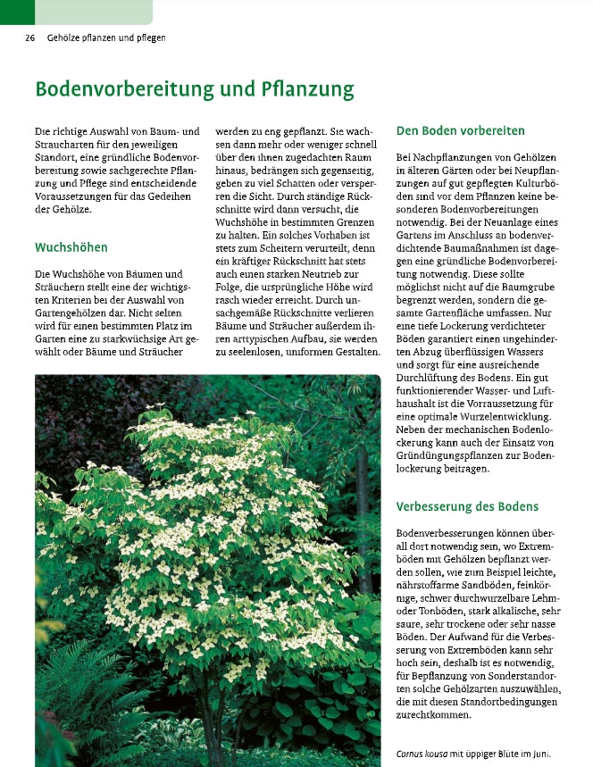 Eine Seite aus "Gehölze von A-Z" des Ulmer Verlags zeigt Bodenvorbereitung und Pflanztipps für Bäume und Sträucher, mit einem Foto, auf dem jemand mit einem Spaten im Garten zwischen grünen Pflanzen und brauner Erde gräbt.