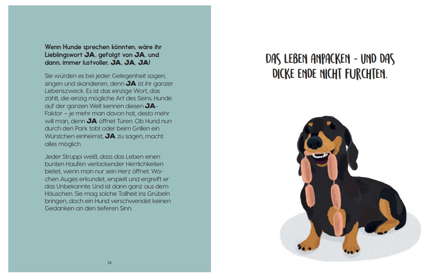 Ein fröhlicher Dackel mit Würstchen um den Hals sitzt neben dem deutschen Motto "Das Leben anpacken - und das dicke Ende nicht fürchten." Auf der linken Seite gibt "Be More Dog" vom Gerstenberg Verlag Ratschläge über Hunde, Positivität und das Leben.