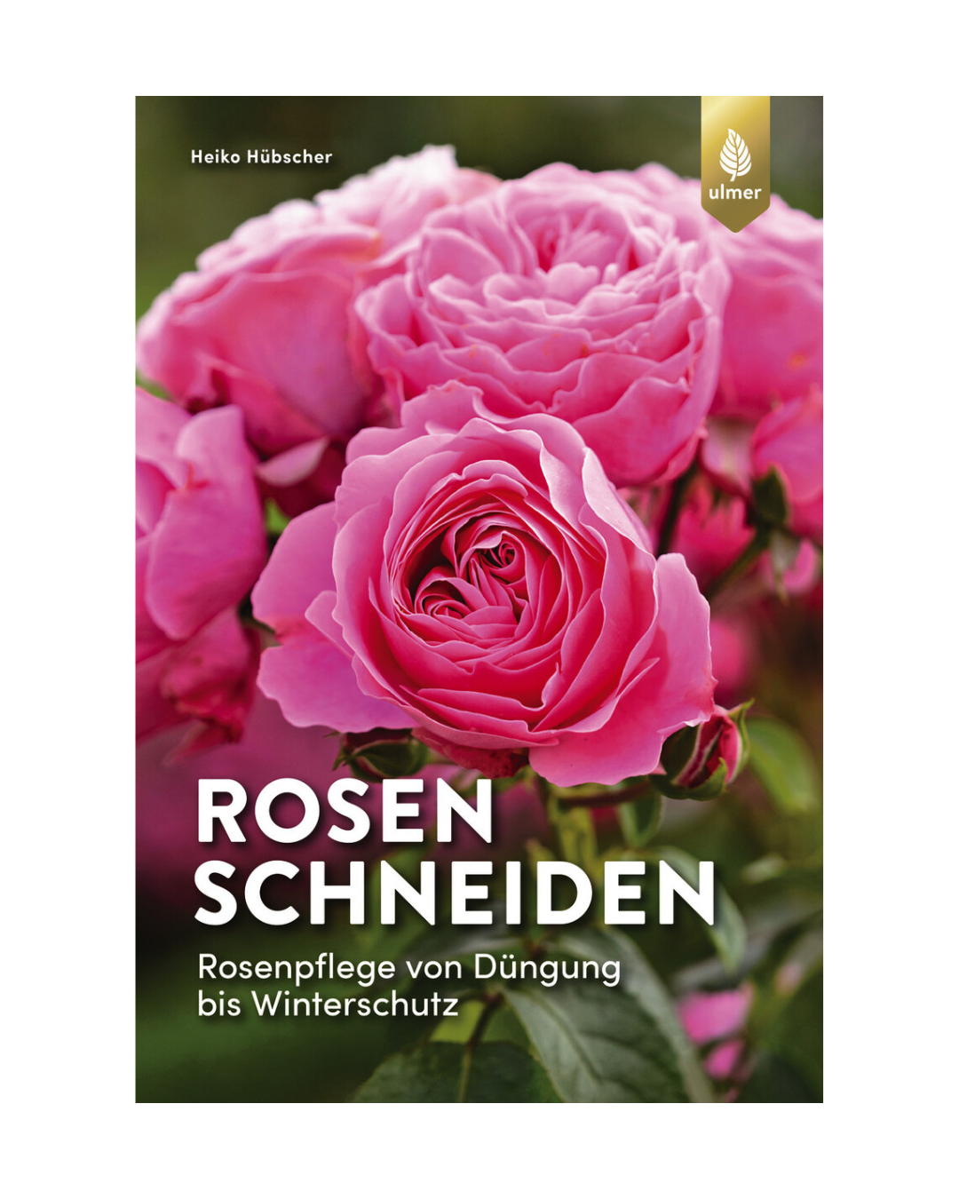 Das Buchcover zeigt blühende rosa Rosen. Der Titel "Rosen schneiden | Mit 30 Vorher-Nachher-Zeichnungen" und die Marke "Ulmer Verlag" heben Expertentipps zu Rosenschnitt, Düngung, Winterschutz hervor. Der Autor Heiko Hübscher steht oben links.