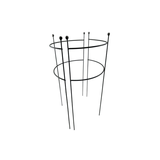 Der Hirsch 2x Staudenhalter HUGO halbrund ist eine Metall-Pflanzenstütze mit sechs vertikalen Stäben und zwei Halbringen, perfekt als Rankhilfe Garten für hohe oder kletternde Pflanzen. Abgerundete Stabspitzen, abgebildet auf weißem Hintergrund.