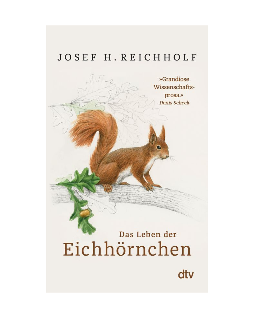 Buchcover für "Das Leben der Eichhörnchen | Was wissen wir eigentlich über die kleinen Nager?" von Josef H. Reichholf (dtv Verlag) mit einer Eichhörnchen-Illustration auf einem Ast. Ideal für Naturkunde-Fans; mit Zitat aus der Rezension von Denis Scheck.