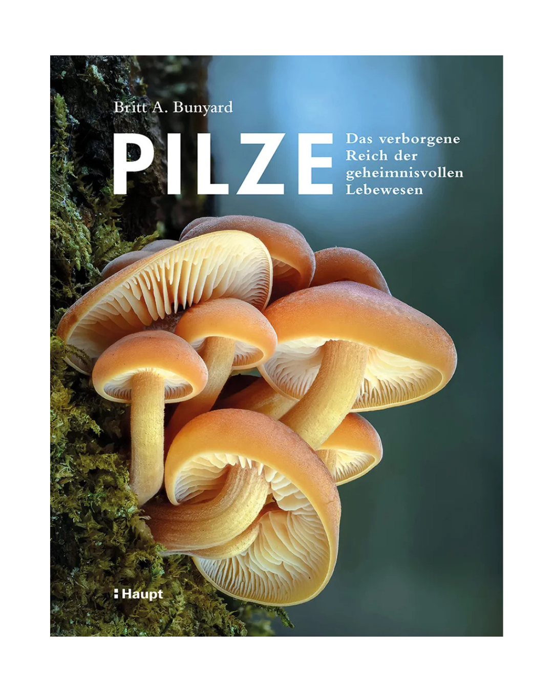 Cover von Pilze | Das verborgene Reich der geheimnisvollen Lebewesen vom Haupt Verlag, mit orange-braunen Pilzen auf moosbewachsenem Holz und deutschem Text über die verborgene Welt der geheimnisvollen Lebewesen.