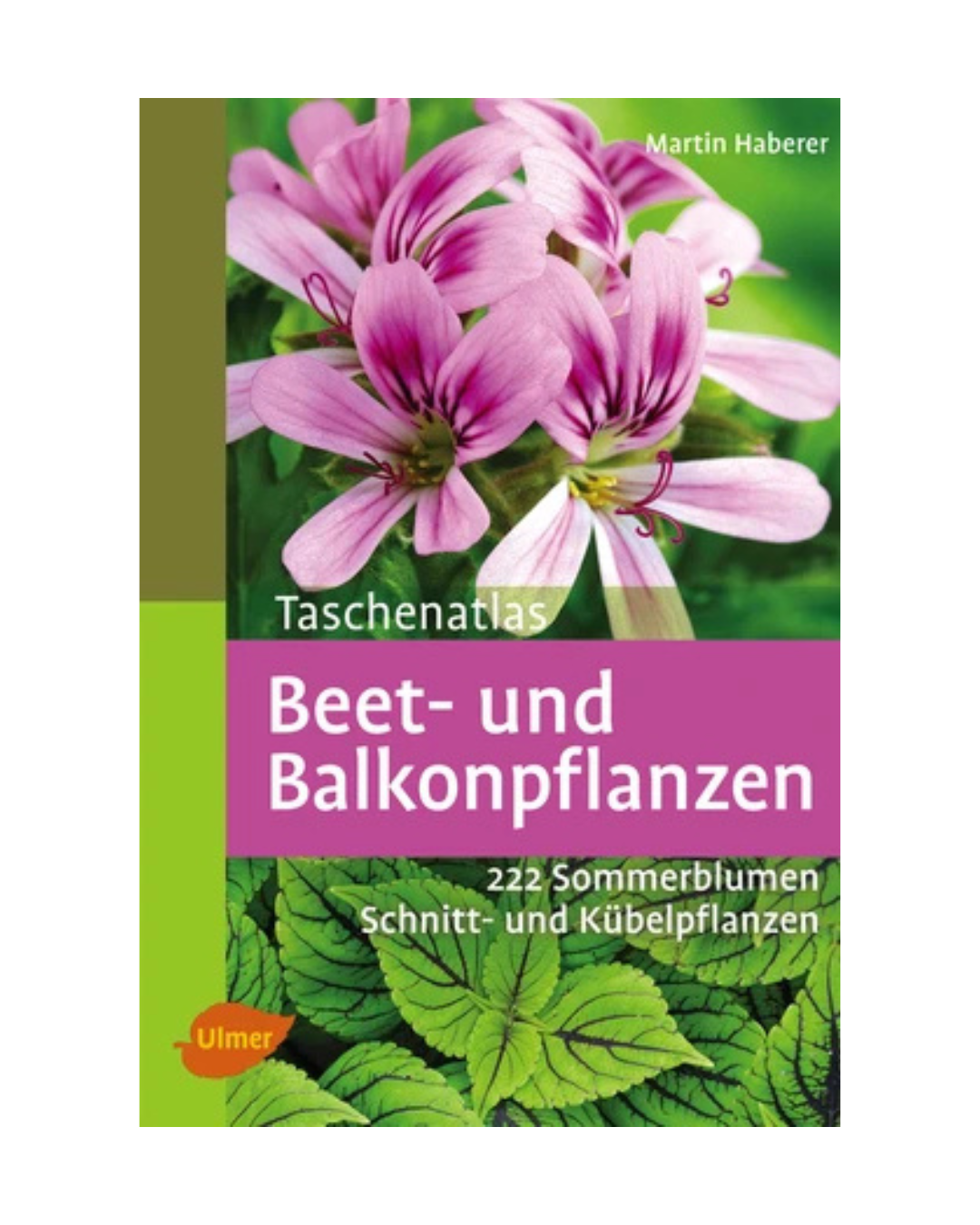 Umschlag des Ulmer Verlags "Beet- und Balkonpflanzen | 222 Sommerblumen, Kübelpflanzen und Schnittpflanzen" mit rosa Sommerblumen und grünem Laub auf grünem und violettem Hintergrund.