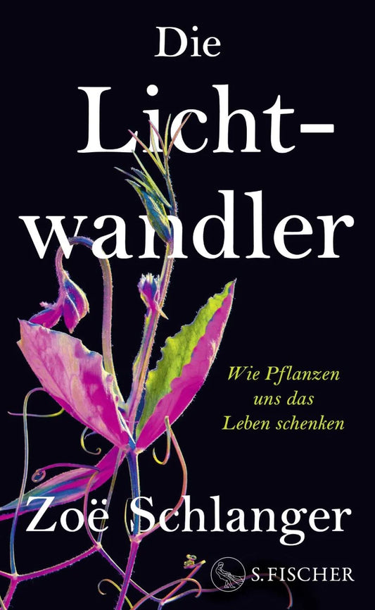 Das Buchcover von Die Lichtwandler aus dem Fischer Verlag zeigt eine leuchtend bunte Pflanze auf schwarzem Hintergrund mit dem Untertitel "Wie Pflanzen uns das Leben schenken" in gelber Farbe - eine Hommage an die Wunder der Pflanzenwelt.
