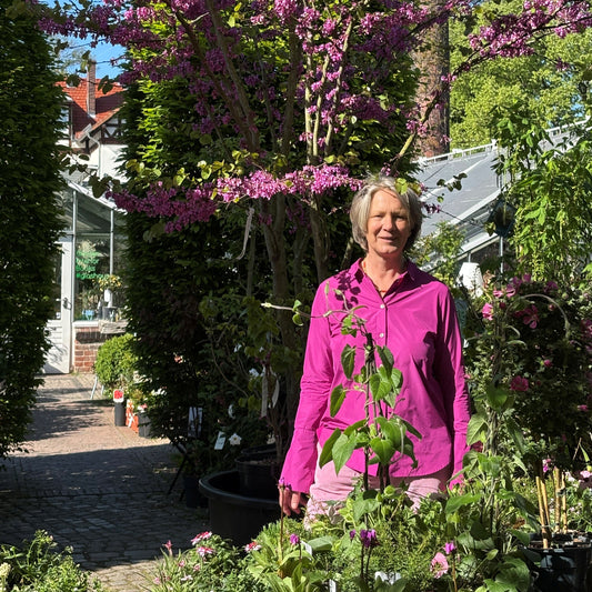 Eine Frau im rosa Hemd steht in einem sonnenbeschienenen Garten mit rosa Blüten und zeigt inspirierende Gartengestaltung. Die Szene wirbt für den Do. 06.11.2025 | 09.30-12.30 HALBTAGESKURS Grundlagen der Gartengestaltung von Gabriella Pape.