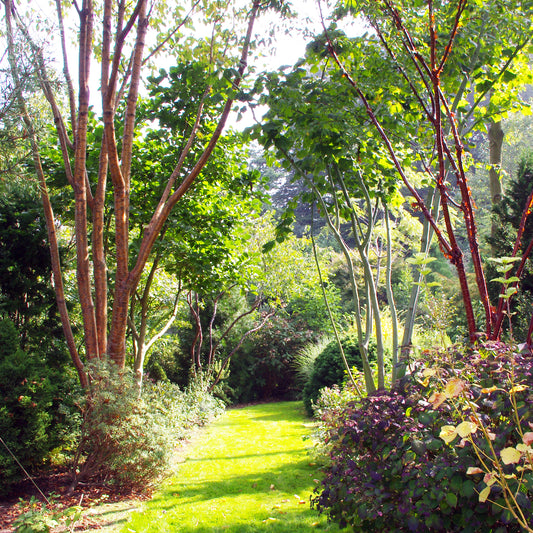 Lassen Sie sich bei "Frischer Wind für alte Gärten" inspirieren - ein Halbtageskurs mit Dr. Isabelle Van Groeningen am 31.10.2025, 13:30-16:30 Uhr, voller Ideen zur Gartengestaltung aus klassischen Gärten.
