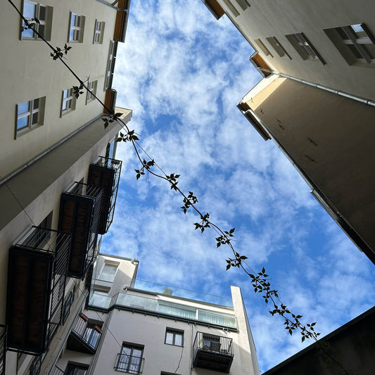 Genießen Sie den Halbtageskurs "Erfolgreiche Kübel bepflanzen in schattigen Innenhöfen" mit Astrid Torrens im Designstudio von Maj van der Linden - Do, 04.09.2025, 10:00-12:30 Uhr bei der Königlichen Gartenakademie.