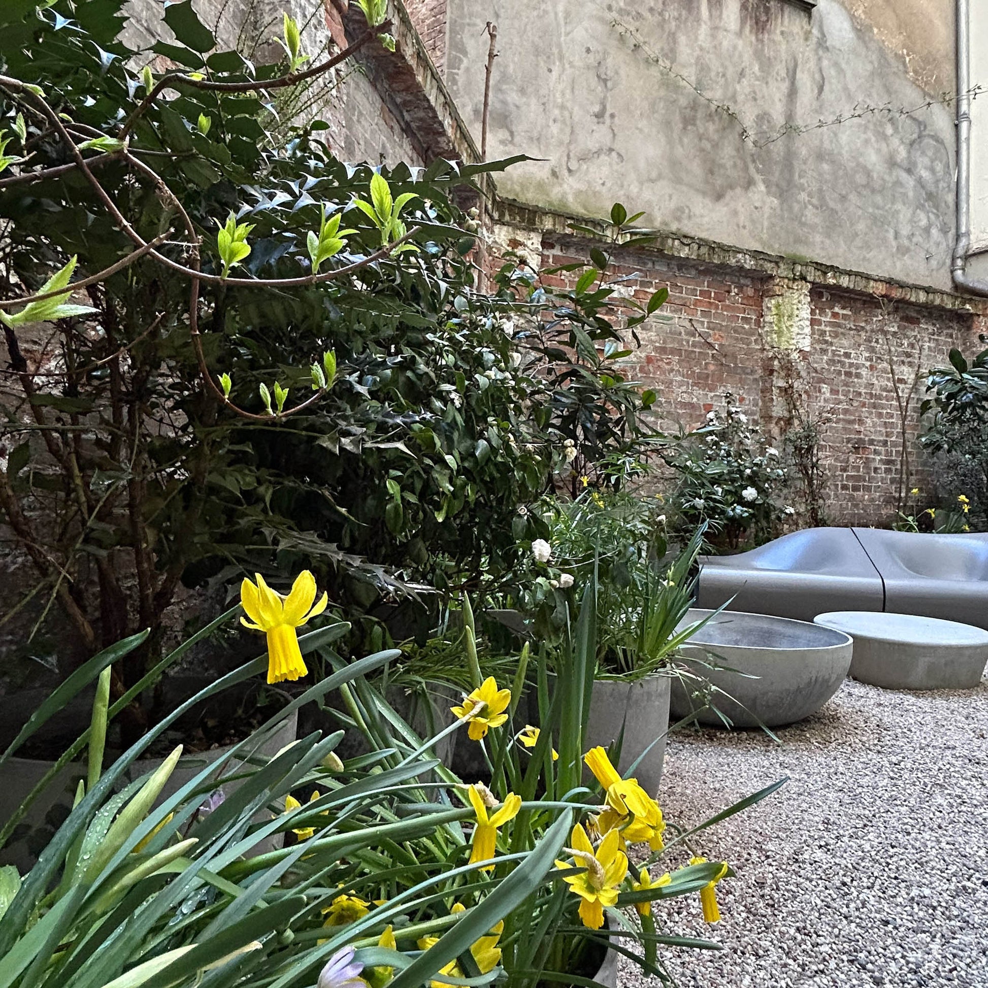 Entdecken Sie, wie Sie Kübel in schattigen Innenhöfen erfolgreich bepflanzen können, beim Do. 04.09.2025 halbtägiger Workshop, "Erfolgreich Kübel bepflanzen in schattigen Innenhöfen" mit Astrid Torrens von der Königlichen Gartenakademie im Atelier von Maj van der Linden.