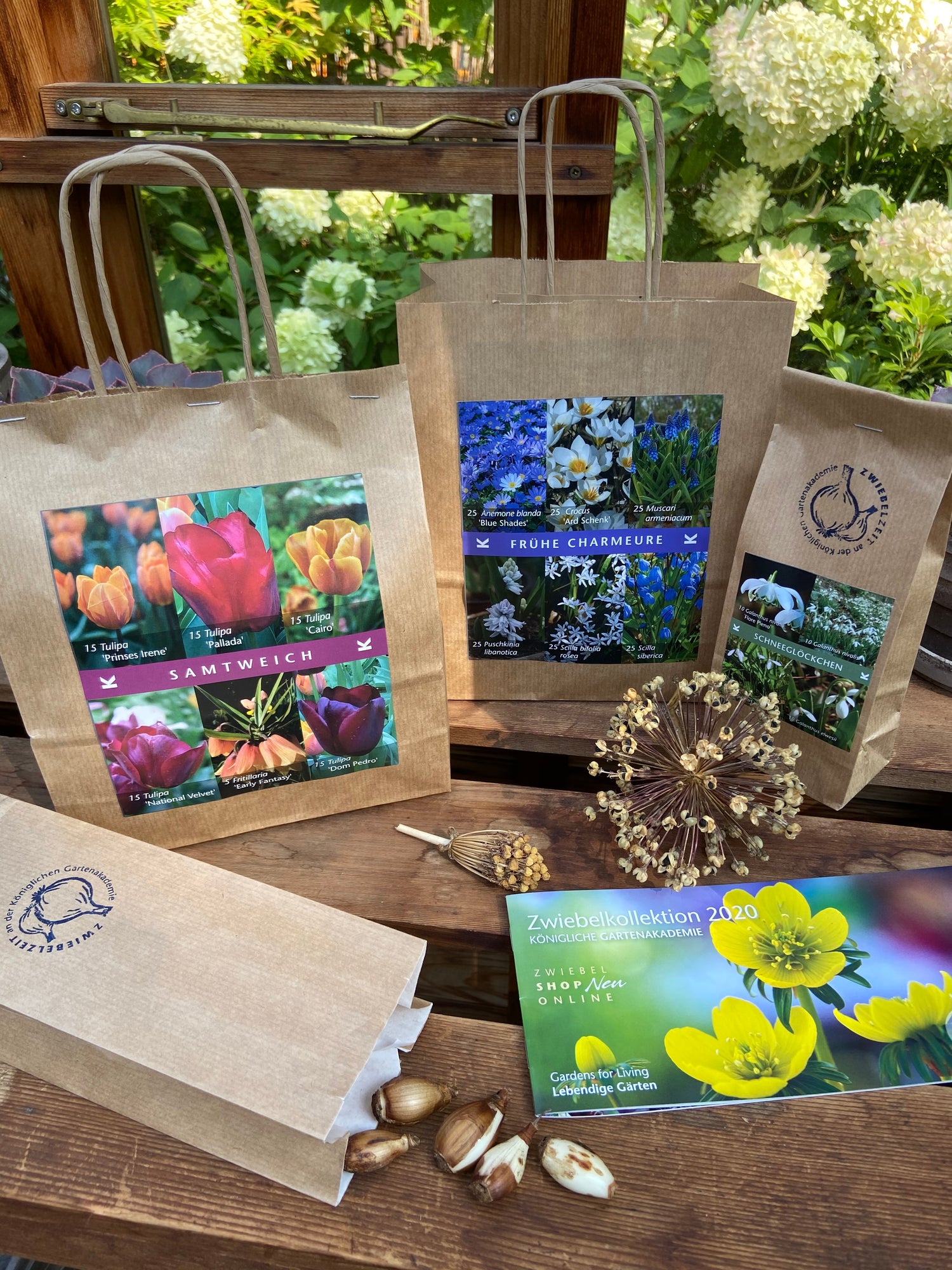 Braune Papiertüten mit bunten Blumenzwiebelbildern und Texten liegen auf einem Holztisch im Freien, umgeben von Blumenzwiebeln, einem getrockneten Blütenkopf und einer Gartenbroschüre. Im Hintergrund blühen weiße Hortensien.