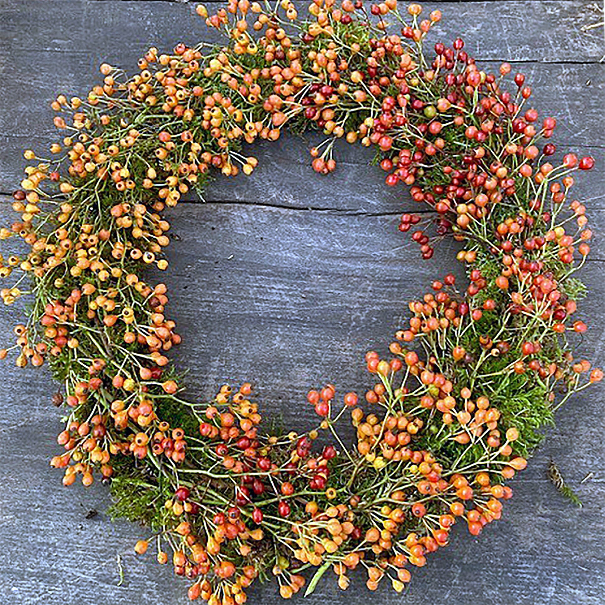 Lassen Sie sich inspirieren für Ihre nächste Kreation oder unsere Thea Carlin "Di. 25.11.2025 | 10.00-12.00 WORKSHOP - Adventskranzbinden bis zu 30 cm"- ein Kranz aus orangen und roten Beeren auf rustikalem Holz, perfekt zum Kranz selbst binden!.