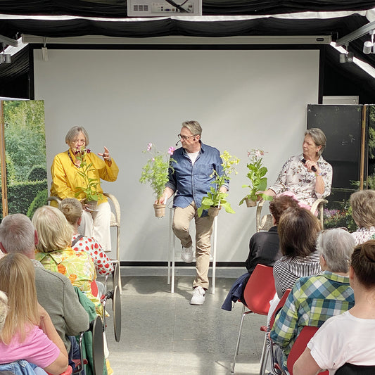 Dr. Isabelle Van Groeningen, Gabriella Pape und Horst Mager diskutieren im GARTENTALK (Sa. 08.11.2025 | 11.00-12.30, Horst Mager) vor Publikum über den Herbstgarten, jeder hält eine Topfpflanze, hinter ihnen steht eine leere Leinwand im sonnendurchfluteten Raum.
