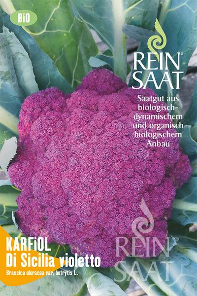Lila Blumenkohl, eingebettet in grüne Blätter, mit einer Textüberlagerung, die für Reinsaats Bio-Karfiol-Samen „Di Sicilia violetto“ wirbt, die für ihren biologisch-dynamischen Anbau und ihr feines Blumenkohlaroma bekannt sind.