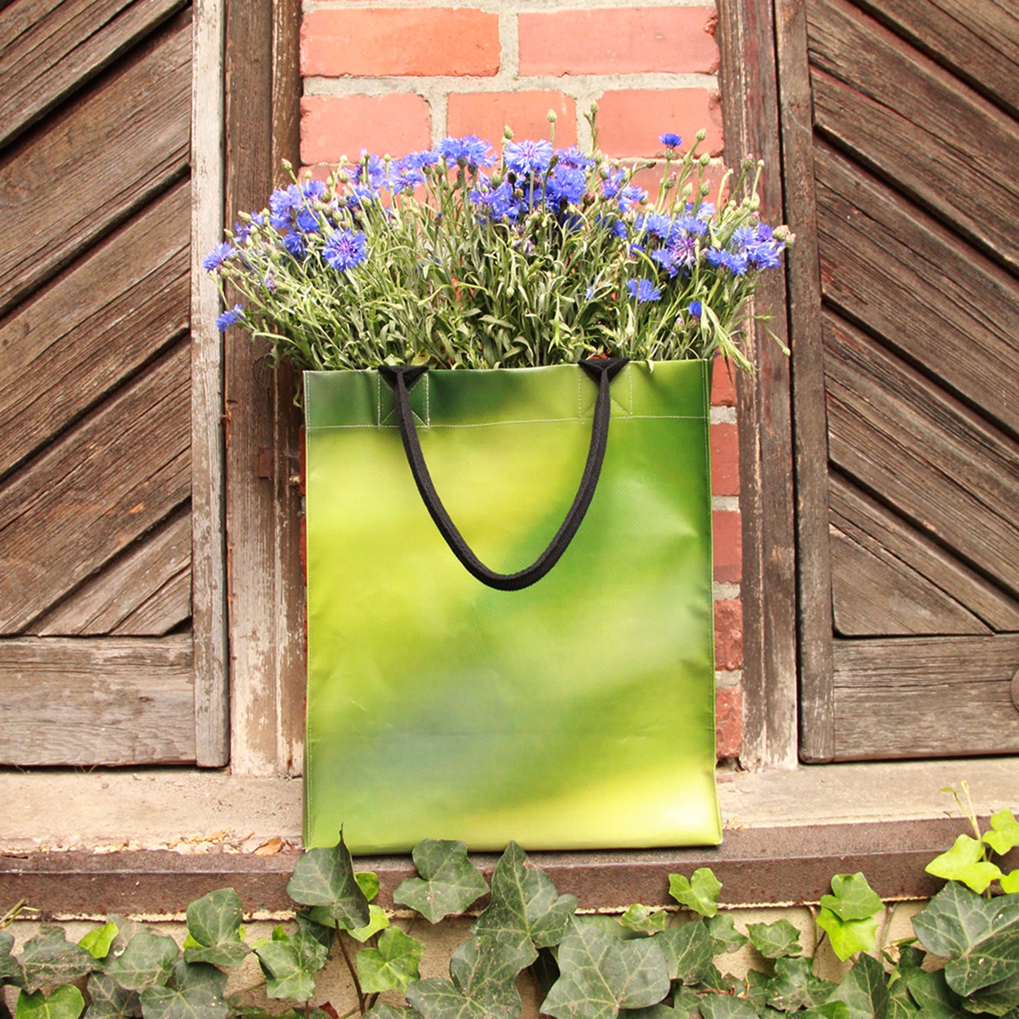 Ein grüner Upcycling KGA Shopper 'Leaf' von der Königlichen Gartenakademie, gefüllt mit violetten Blumen, steht auf einem Fenstersims mit verwitterten Fensterläden, einer Backsteinmauer und grünem Efeu darunter.