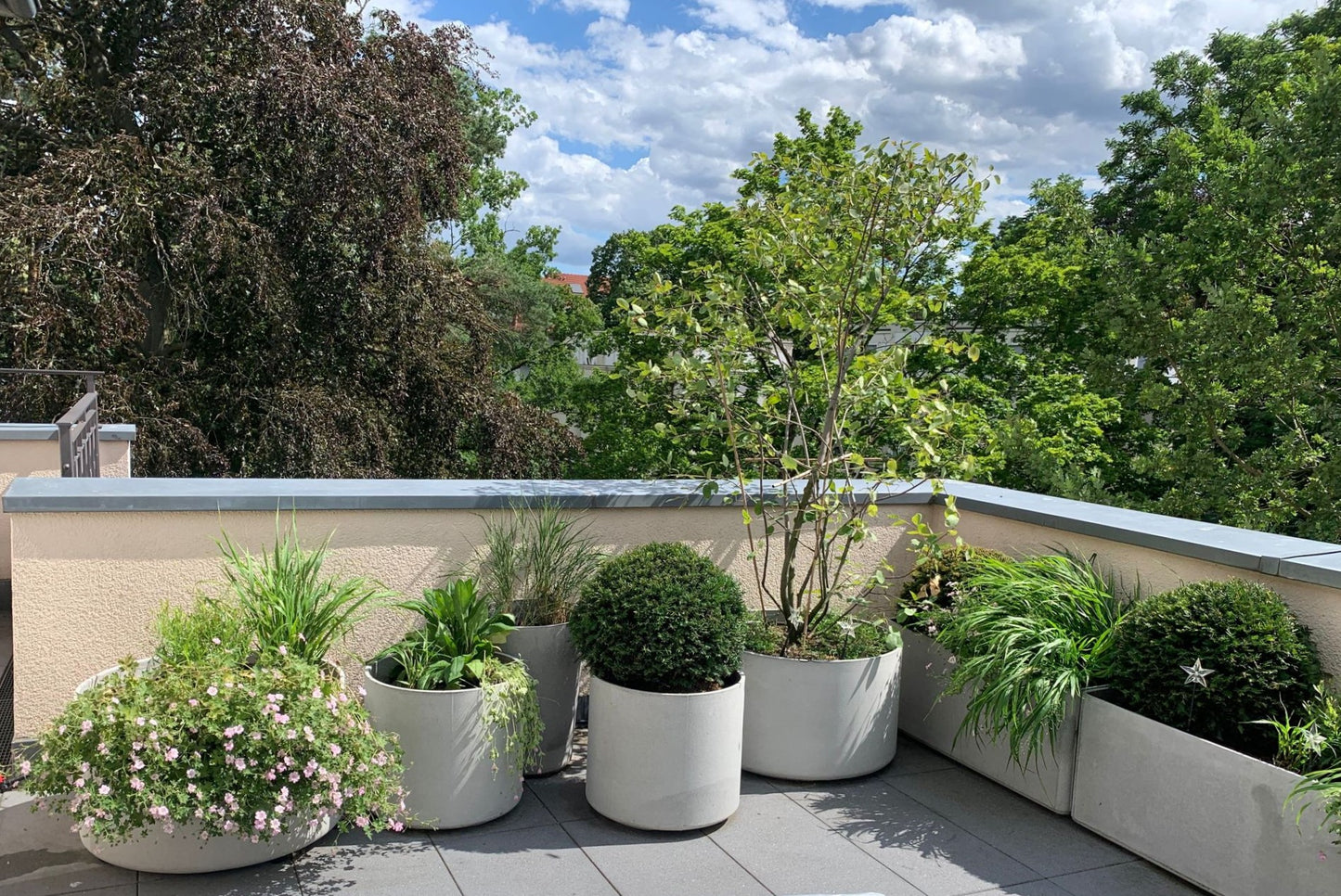 Astrid Torrens' "Di. 10.03.2026 | 10.00-13.00 HALBTAGESKURS Dachterrassen und Balkonbepflanzung" zeigt, wie Pflanzen und Sträucher Dachterrassen, die von beigen Mauern und hohen grünen Bäumen begrenzt werden, unter einem teilweise bewölkten Himmel harmonisch aufwerten können.