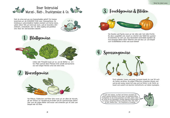 Gärtnern für Ahnungslose" von Kosmos Verlag: Ein bunt illustriertes deutsches Gartenbuch mit Cartoon-Figuren und beschrifteten Zeichnungen zu Blatt-, Wurzel-, Frucht- und Sprossengemüse. Perfekt für den Gartenstart!.