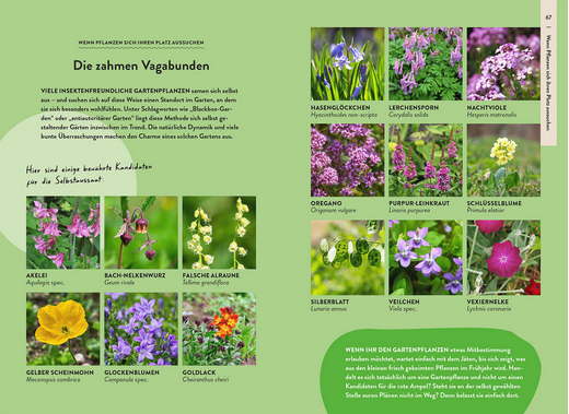 Der Gartenratgeber Wildkrautampel aus dem Kosmos Verlag zeigt in einer Tabelle mit Fotos und deutschem Text Pflanzen wie Akelie, Gelber Sonnenhut, Glockenblume, Oregano und mehr - und gibt Tipps für die Selbstversorgung mit Insekten.
