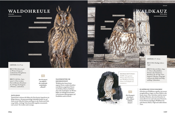 Zwei Seiten aus Das Buch der Gartenvögel vom Kosmos Verlag zeigen Fotos und Details einer Waldohreule (links) und eines Waldkauzes (rechts), mit beschrifteten Merkmalen und Beschreibungen, die die einzigartigen Eigenschaften jedes Gartenvogels hervorheben.