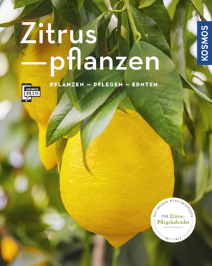 Der Buchdeckel zeigt reife gelbe Zitronen zwischen grünen Blättern. In Fettdruck steht "Zitruspflanzen", mit deutschem Text über mediterrane Kübelpflanzen, Pflege und Ernte. Erschienen im Kosmos Verlag.