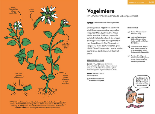 Eine illustrierte Seite aus "Wilde Pflanzen essen" vom Kosmos Verlag zeigt links ein beschriftetes Vogelmiere-Diagramm mit botanischen Informationen und rechts ein Suppenrezept mit einem Cartoon-Kind, das die Suppe probiert. Die Überschrift lautet "Vogelmiere" auf Deutsch.