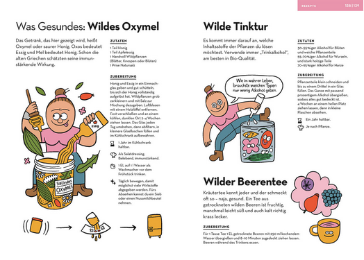 Ein zweiseitiges, illustriertes Rezept aus "Wilde Pflanzen essen" vom Kosmos Verlag zeigt Survival Siglinde bei der Herstellung von Oxymel, Tinktur und Tee aus Wildpflanzen, mit verspielten Kräuter-, Honig- und Früchtezeichnungen und einfachen Anleitungen in deutscher Sprache.