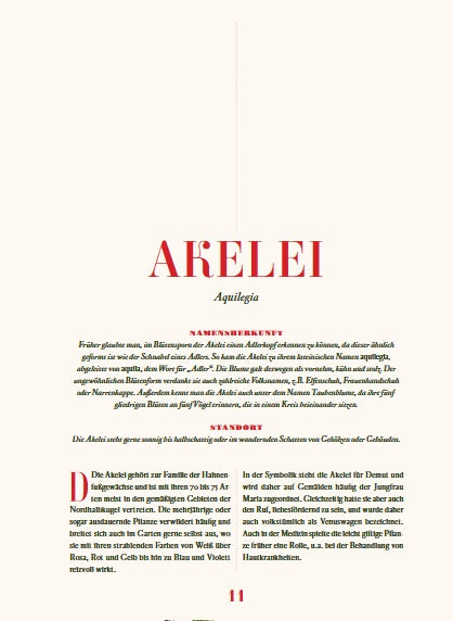 Eine Seite aus „Blumenpracht und Blütenzauber“ vom Thorbecke Verlag zeigt einen fettgedruckten roten Titel, einen deutschen Text zu AKELEI (Aquilegia), zwei Infospalten mit botanischen Abbildungen und unten die Seitenzahl 11.