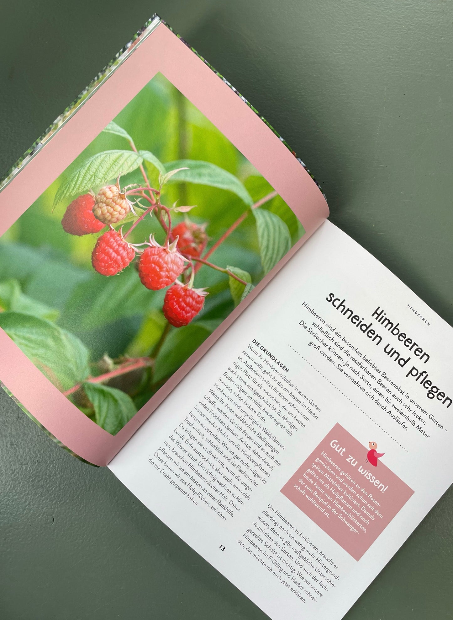 Willkommen beim Gartencoach (signierte Ausgabe)