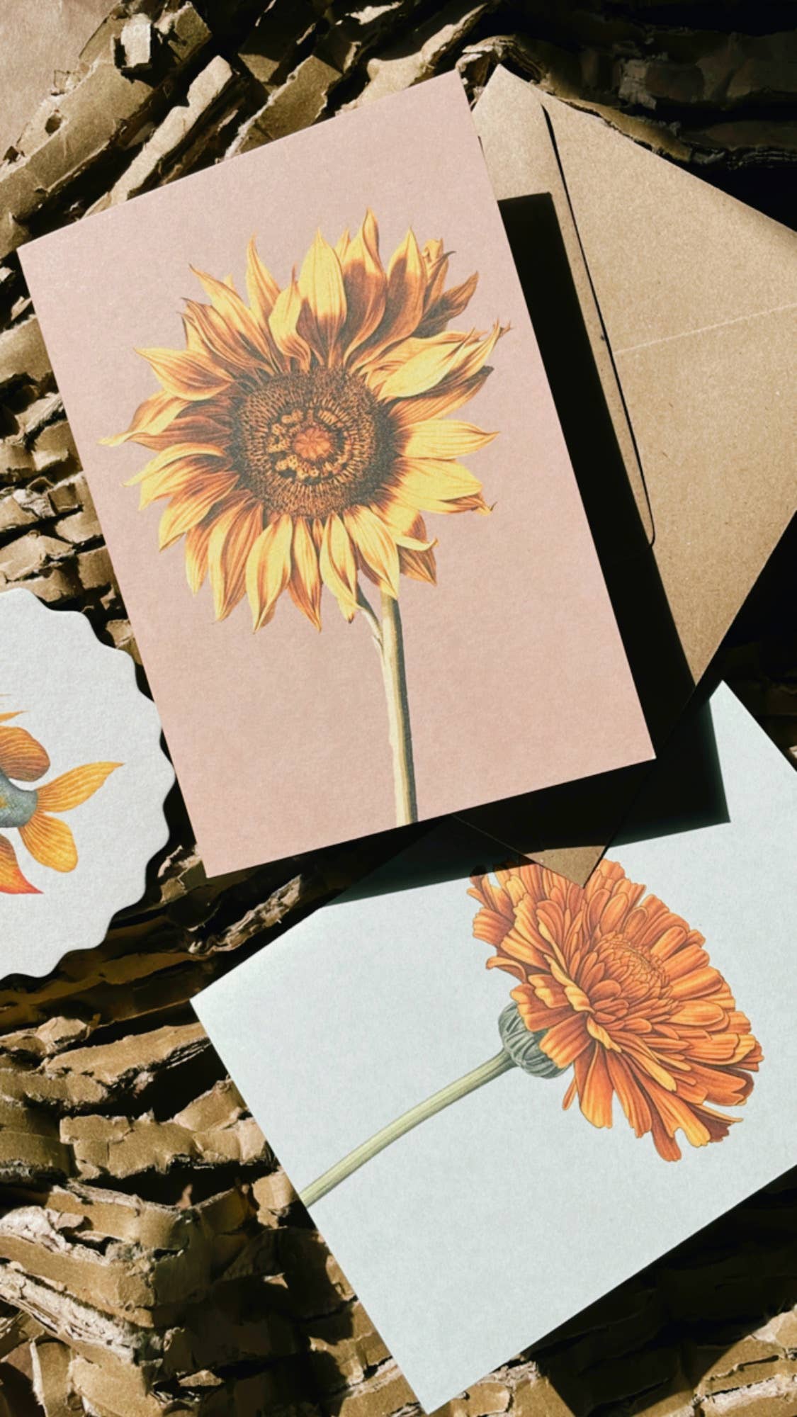 Eine flache Lage der 30x40 Sonnenblumen Leporello Grußkarte und Umschlag auf einer strukturierten braunen Oberfläche. Jede 30x40 Karte, die in Deutschland auf Recyclingpapier gedruckt wurde, zeigt Sonnenblumenkunst und einen Untersetzer mit orangen Blütenblättern.